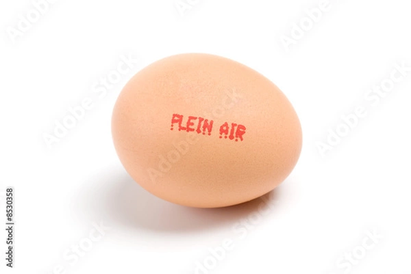 Obraz œuf plein air