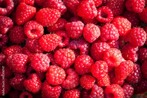 Obraz Framboises