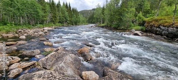 Fototapeta Rapid flowing mountain river through forest in summer