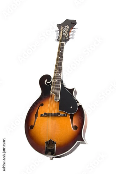 Obraz Mandolin