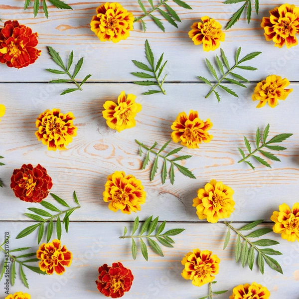 Fototapeta Summer background of flowers and leaves marigolds on a blue wooden table with space for text. Nature concept. Flat lay. Floral Greeting card.