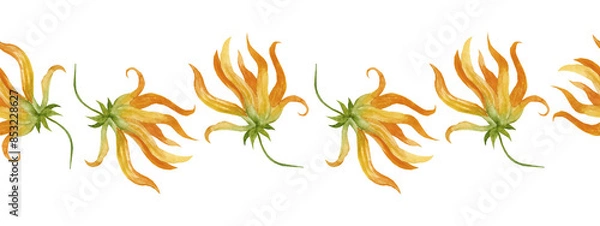 Fototapeta Watercolor seamless border with ylang-ylang. Illustration of yellow flowers. Invitation and packaging design