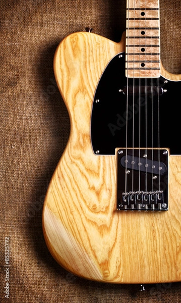 Obraz Electric Guitar