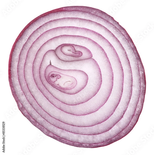 Obraz pokrojona szalotka