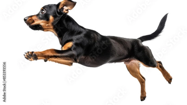 Fototapeta Untitled design - 79