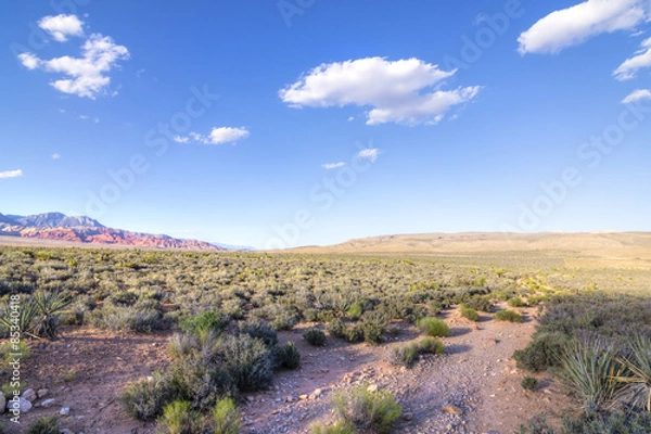 Obraz Nevada Desert Landscape and Cloudscape