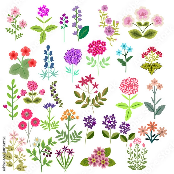 Obraz Flowers set