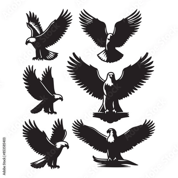 Obraz vector Bald Eagle set silhouette black in white background