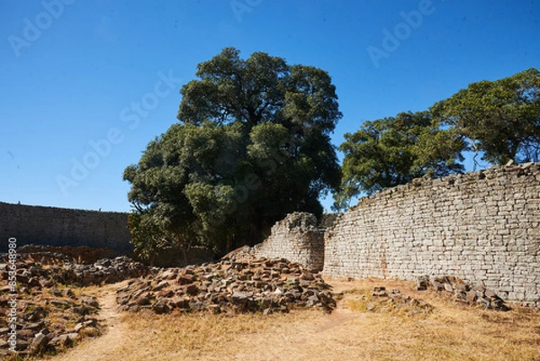 Obraz Big tree at Great Zimbabwe
