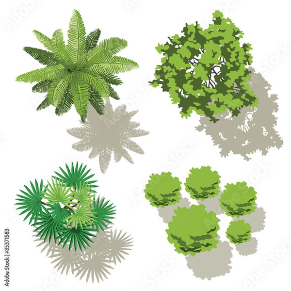 Fototapeta 4 drzewa - projekt do planów