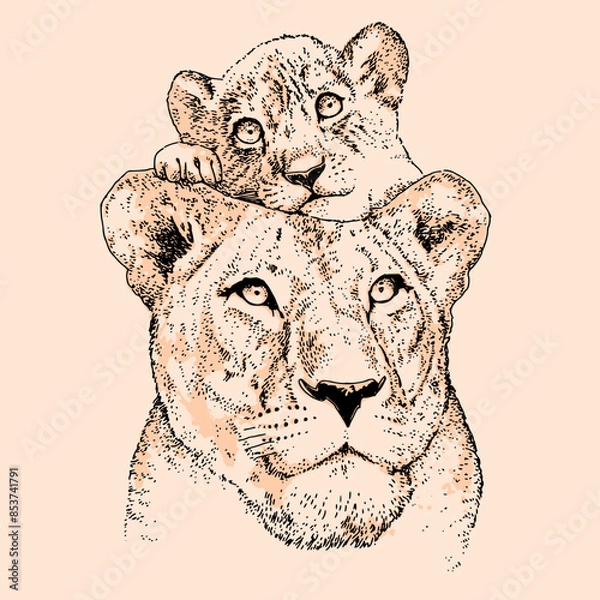 Obraz lion and cub head vector