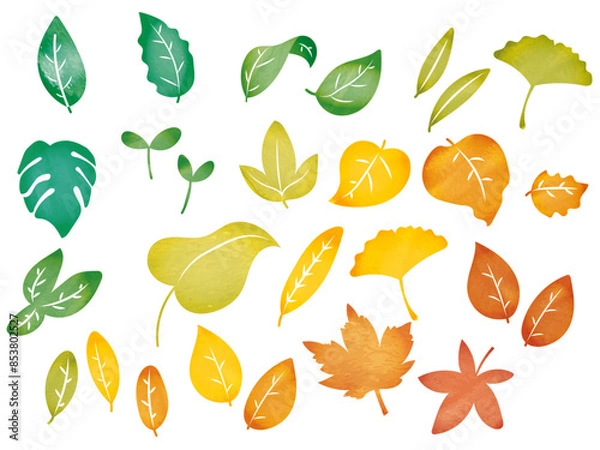 Obraz 水彩風葉っぱセット
