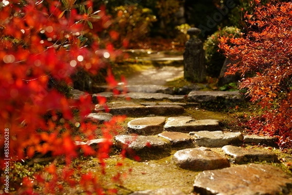 Obraz 京都の紅葉、秋色の日本風景