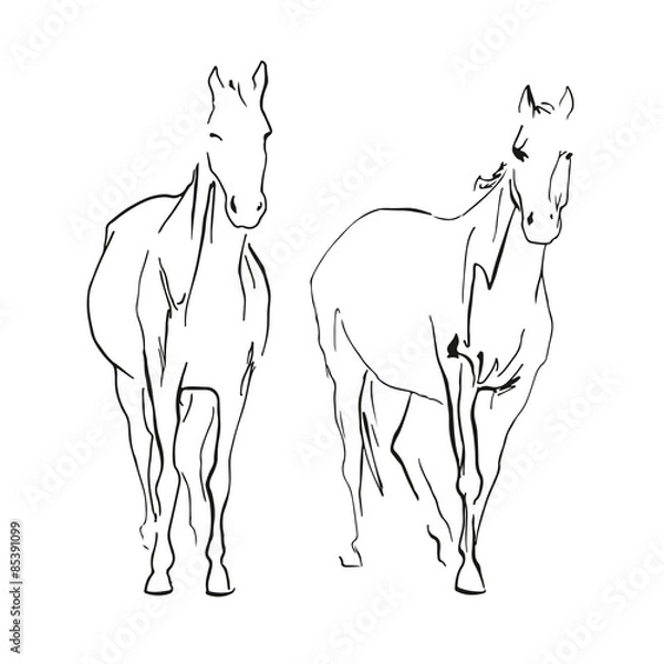 Fototapeta doble horse