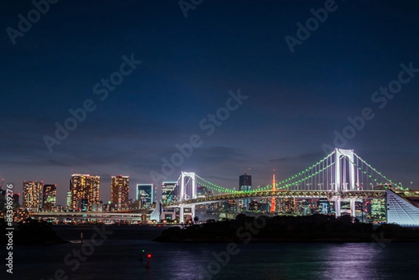 Fototapeta お台場海浜公園の夜景　東京都港区台場