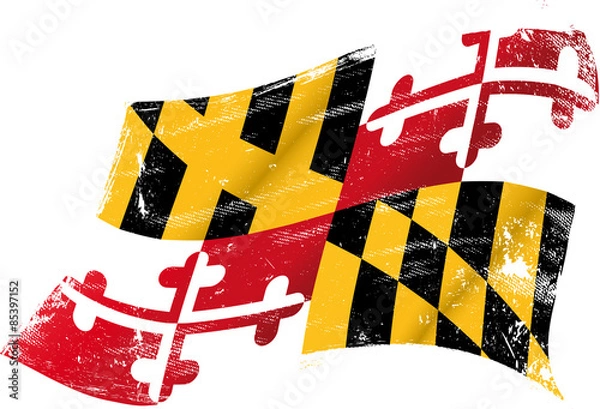 Obraz Maryland grunge flag
