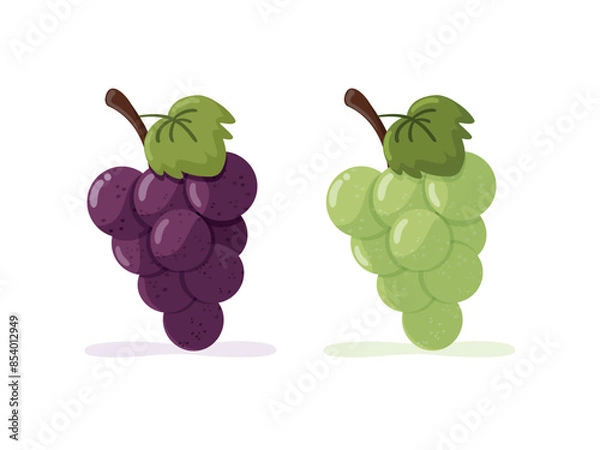 Fototapeta Set of bunches of grapes. Purple and green grapes
