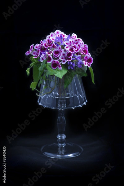 Obraz Beatiful flower composition on a black background