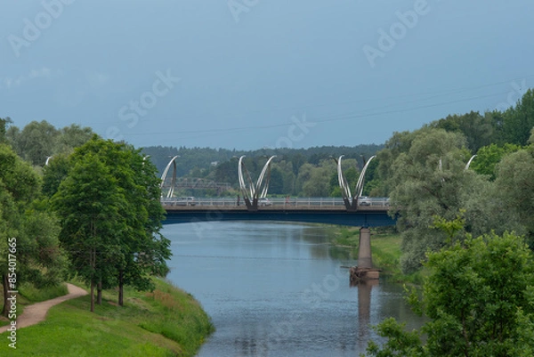 Fototapeta .a beautiful bridge with ribs on a gray cloudy day
