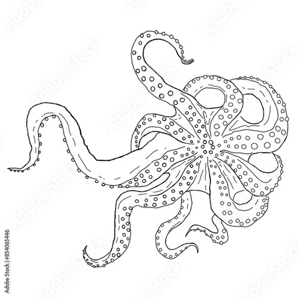Fototapeta minimalistic octopus illustration transparent background