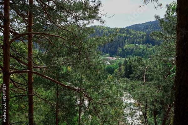 Fototapeta the forest of the mountain. Rocks nestled in between foliage, scene of a beautiful landscape of a woodland.