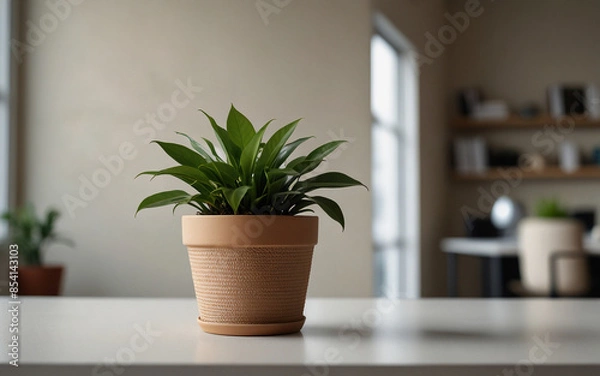 Fototapeta Minimalist potted plant on a clean desk, against a light-colored wall, bringing greenery to a professional business setting.