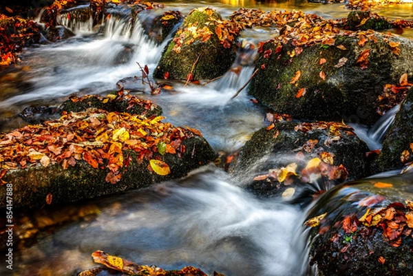 Fototapeta Beautiful stream in mountain forest. Forest stream in autumn.