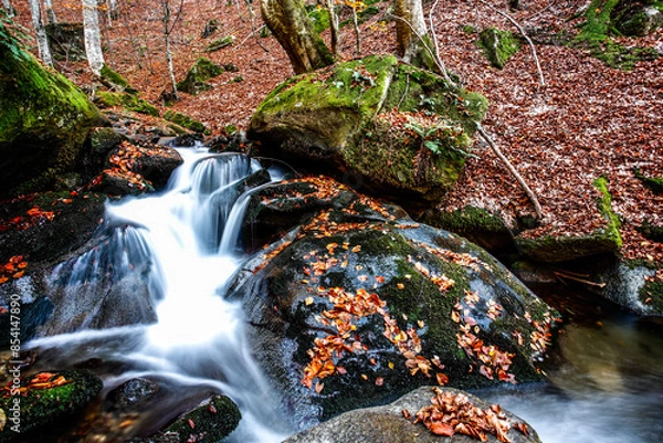 Fototapeta Beautiful stream in mountain forest. Forest stream in autumn.