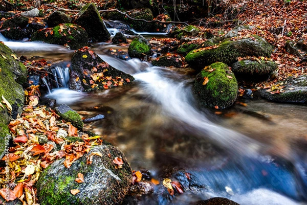 Fototapeta Beautiful stream in mountain forest. Forest stream in autumn.