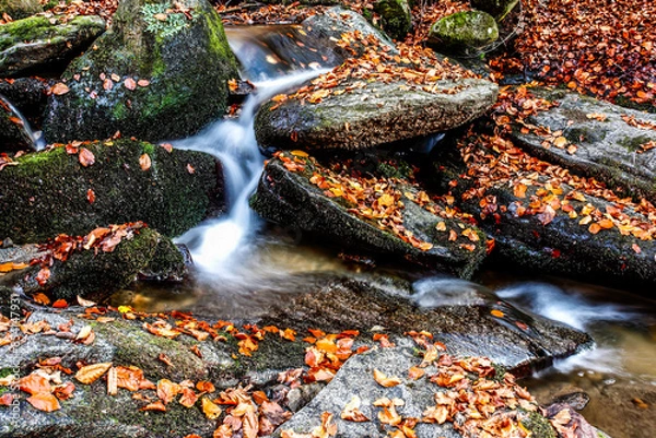Fototapeta Beautiful stream in mountain forest. Forest stream in autumn.