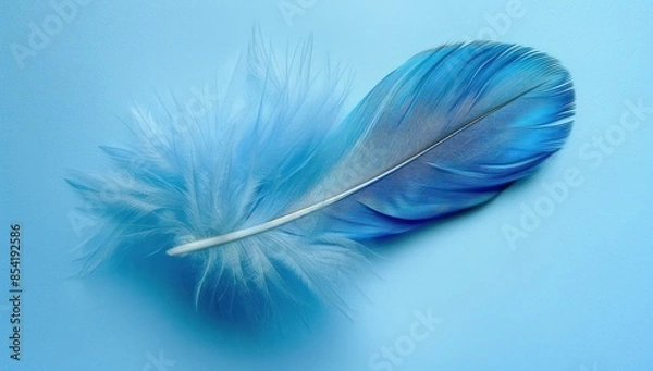 Fototapeta A blue feather is on a blue background. Generate AI image