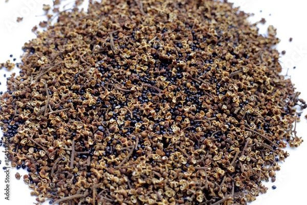 Fototapeta Dried zanthoxylum rhetsa (Roxb.) DC.