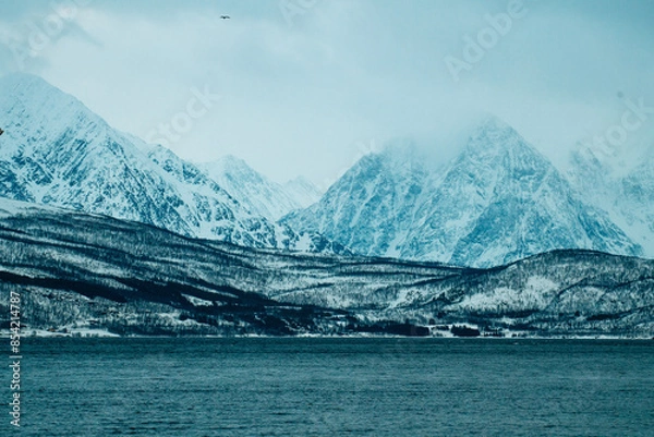 Obraz landscape with snow