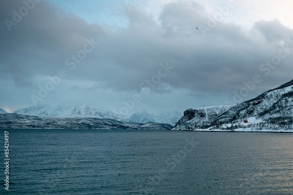 Obraz sea and mountains