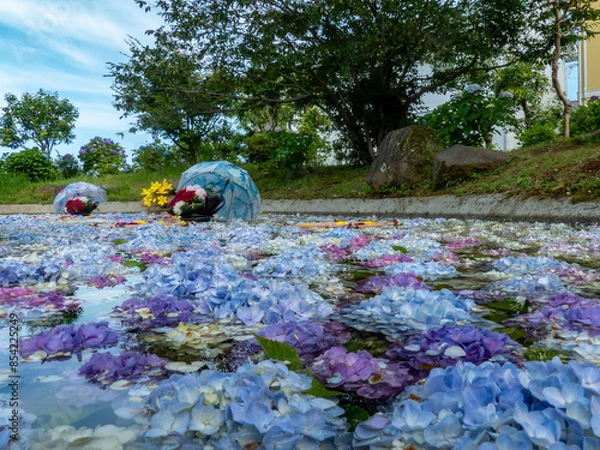 Obraz あじさい池