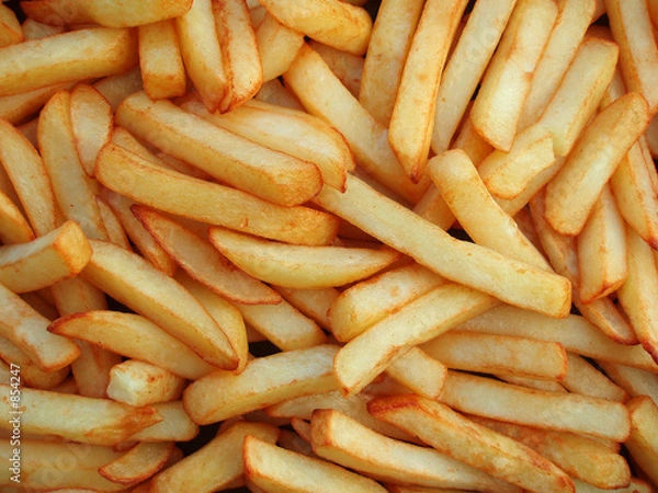 Obraz french fries
