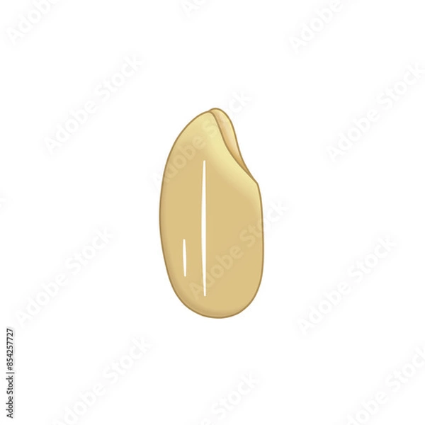 Fototapeta 1粒の玄米