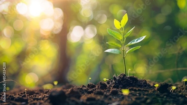 Fototapeta CO2 emission reduction concept, clean and friendly environment without carbon dioxide emissions. Planting trees to reduce CO2 emissions, environmental protection concept