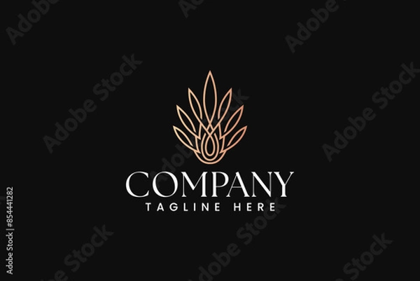 Fototapeta fluid with swirl flora abstract ornament logo design for fashion boutique and jewelery