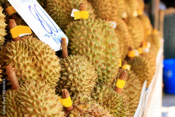 Obraz durian