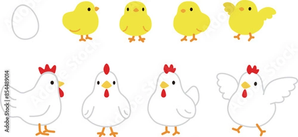 Obraz シンプルでかわいい鶏とひよこのイラストセット