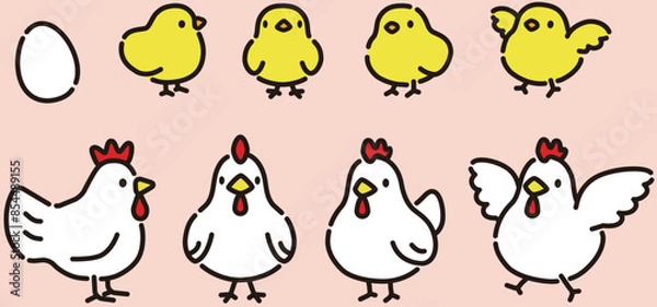 Fototapeta シンプルでかわいい鶏とひよこのイラストセット