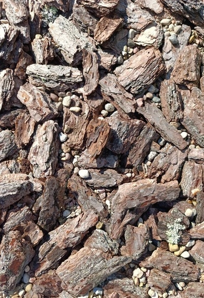 Obraz bark with small stones
