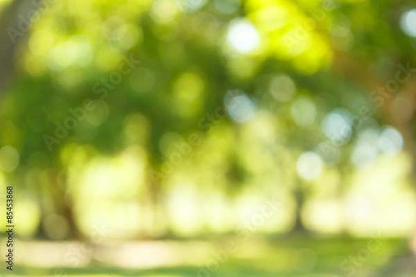 Obraz Blur natural and light background.