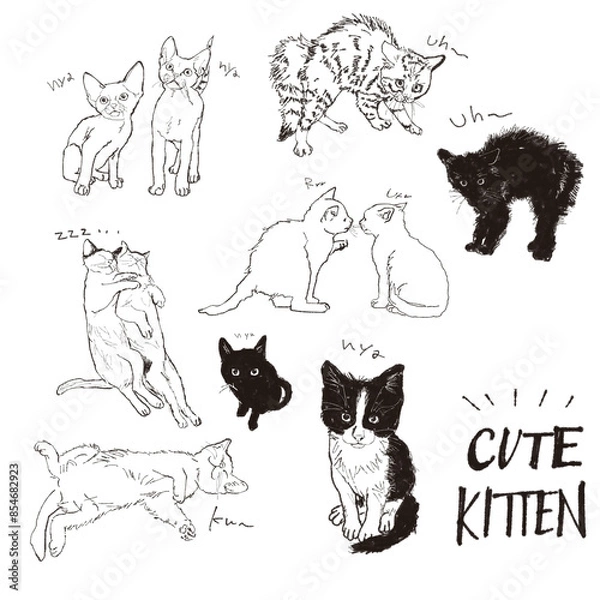 Fototapeta 子猫の線画イラストセット