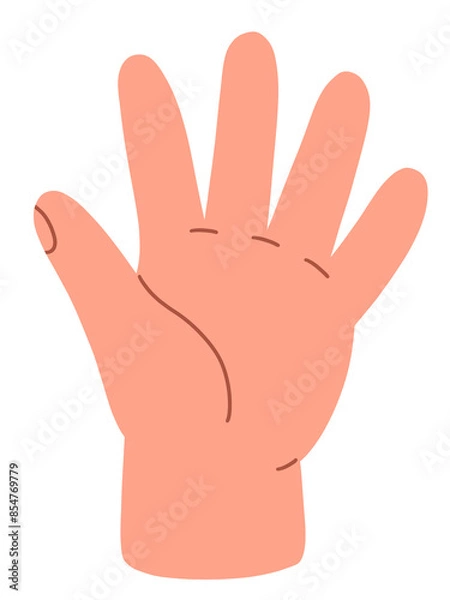 Fototapeta Counting with fingers. Hand gesturing. Flat illustration isolated on white background