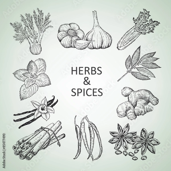 Fototapeta herbs and spices