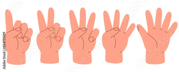 Fototapeta Counting with fingers. Hand gesturing, arm showing one, two, three, four and five numbers, digits. Countdown, score, elementary math learning. Flat illustration isolated on white background