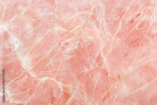 Obraz Elegant Pink Marble Texture
