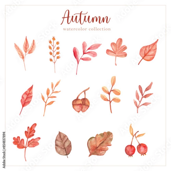 Fototapeta autumn leaf shapes hand painting collection